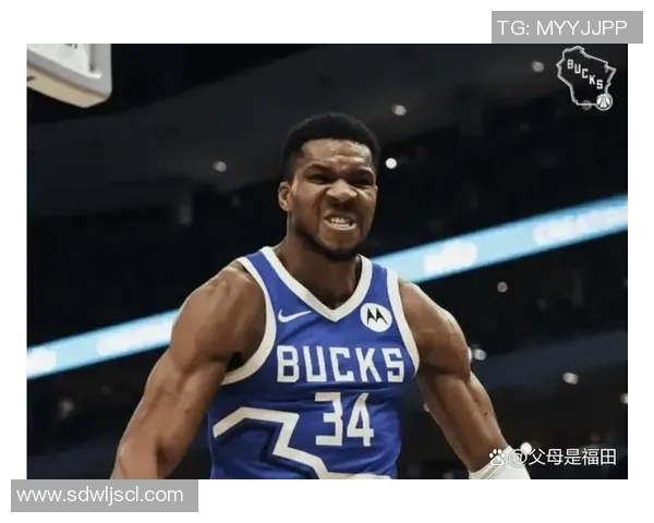 雄鹿与奇才对决战绩回顾分析及未来展望